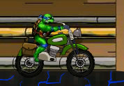 Turtles Bike Adventure